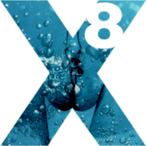 X8 logo small