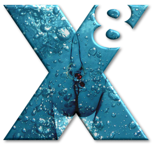 X8 Logo